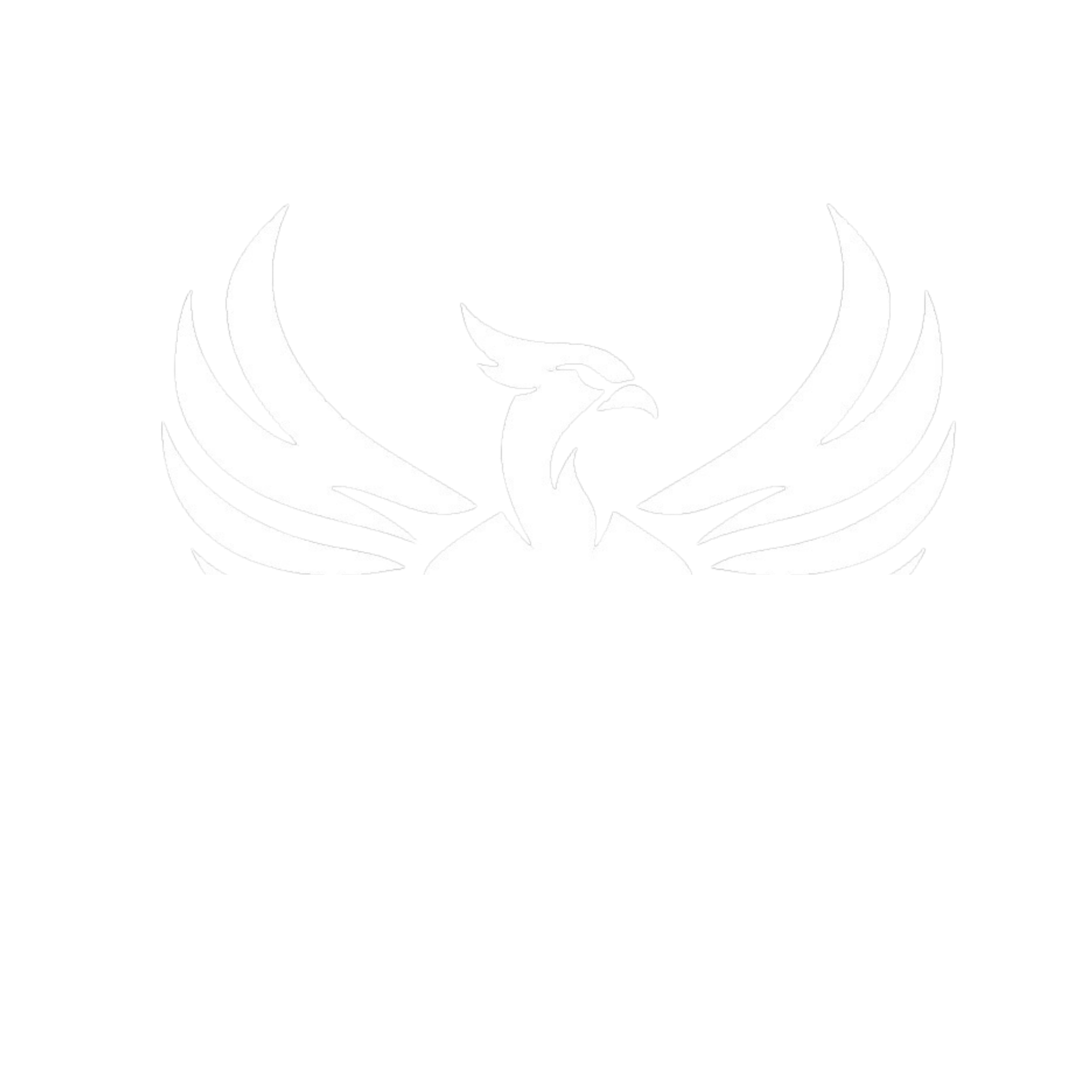 Relentless Heart